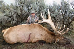 Mike-363-elk-or