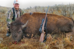 Scott-yearling-bison-or