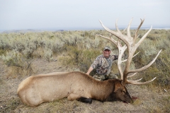Joe- 470-plus-bull-or