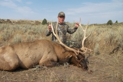 254-elk-or