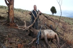 345-bull-elk-or