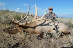 350-bull-elk-or