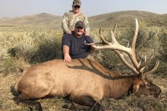 363-bull-elk
