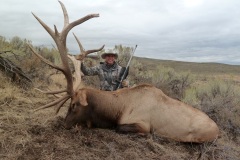 429-bull-elk-or