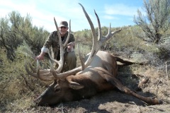 402-bull-elk-or