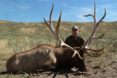 411SCI-bull-elk-or