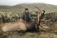 huge-420-bull-elk