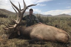 huge-420-elk