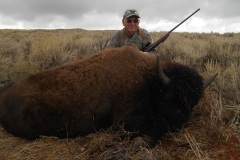 bison1-or