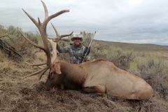 429-bull-elk-or