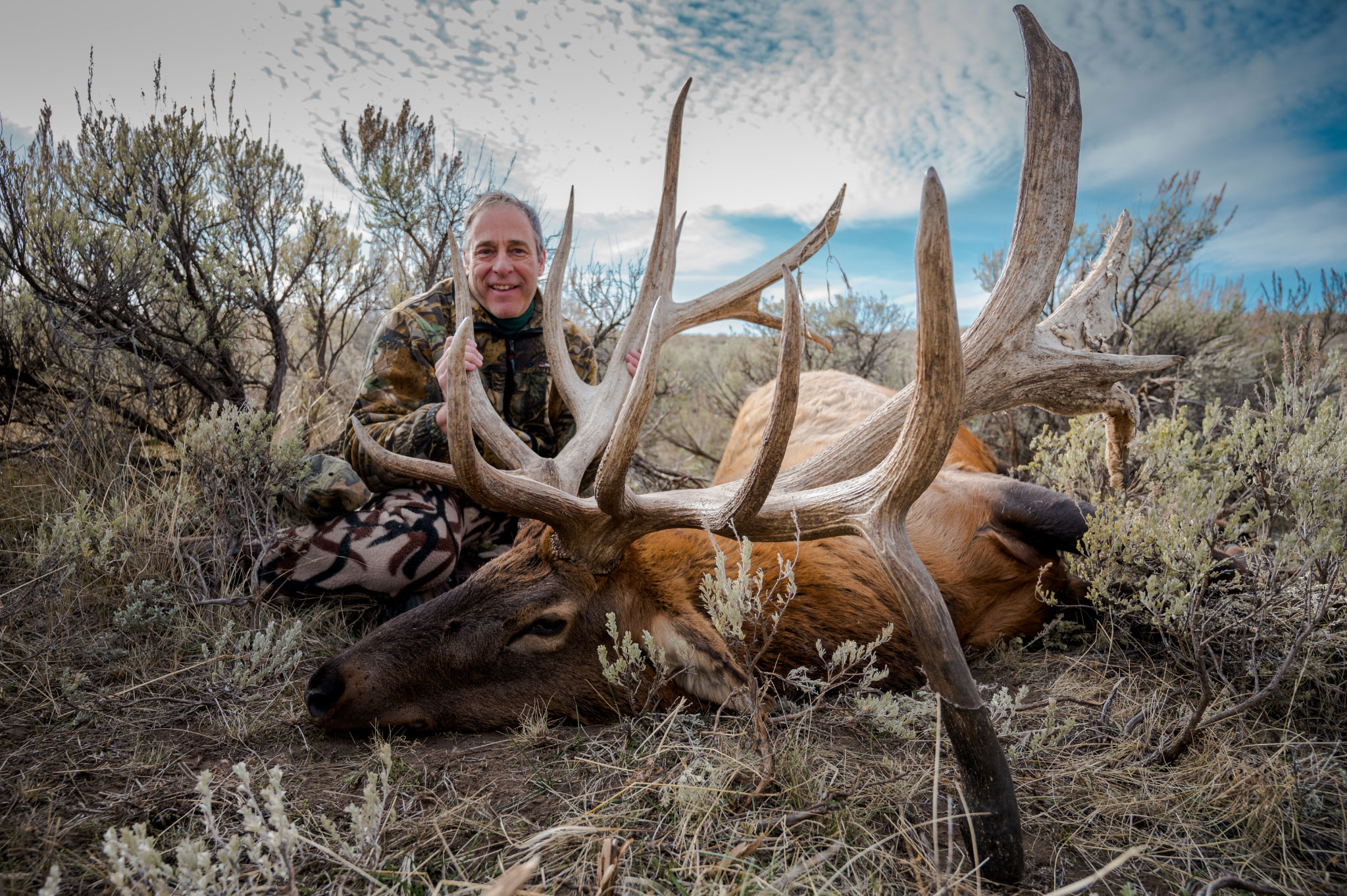 Elk and Buffalo Hunt Prices