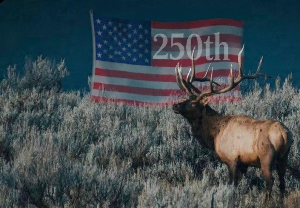 Veteran's Day Elk Hunt Sale